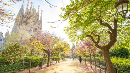 Blooming spring garden in Barcelona, Spain. Photo by arcady_31, iStock