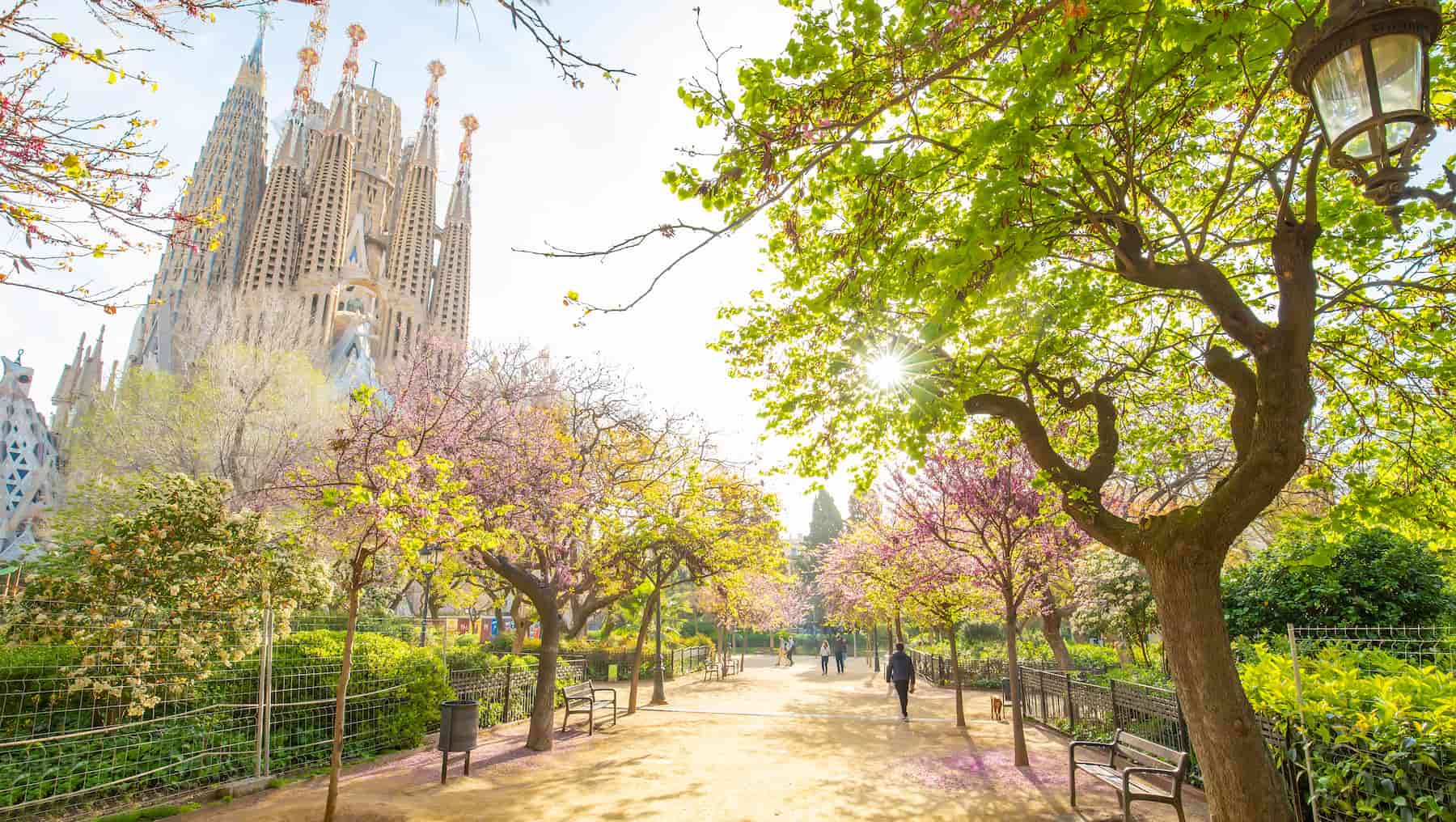 Blooming spring garden in Barcelona, Spain city centre. Photo by arcady_31, iStock