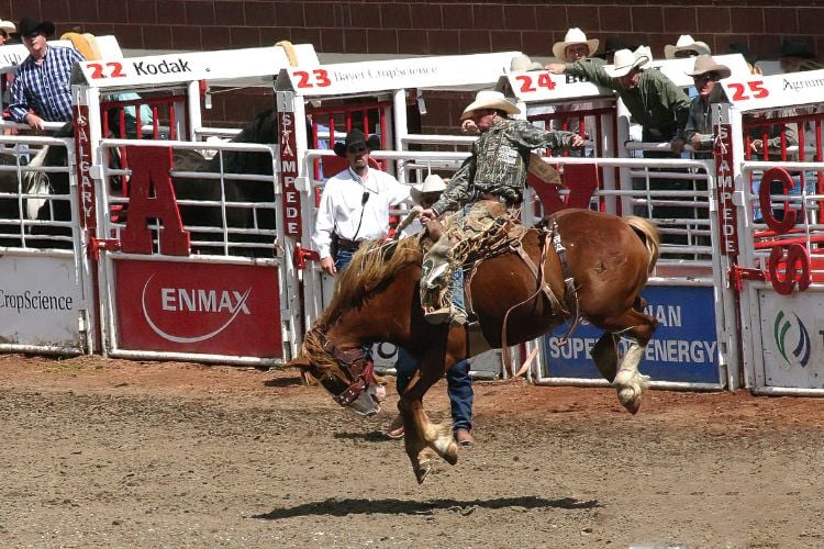 Calgary Stampede