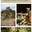Experience Spain’s Olive Oil Culture