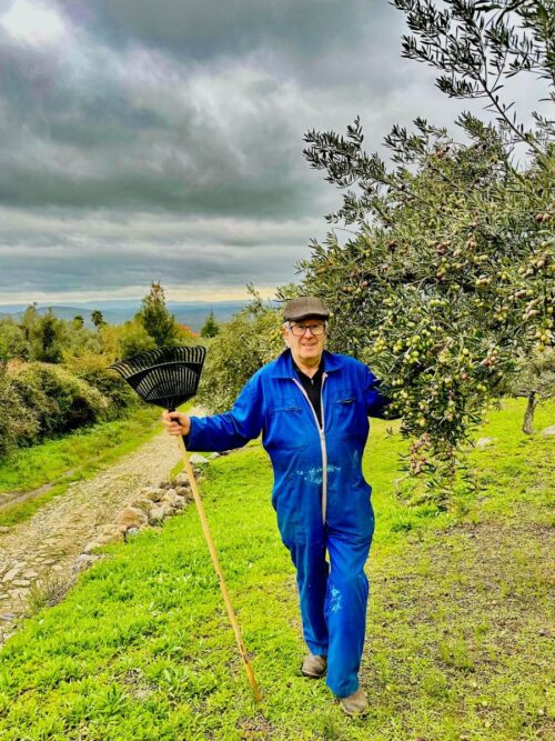 Olive farmer in his grove