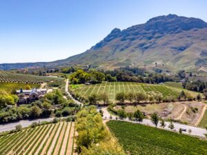 Staying in the Heart of Stellenbosch in South Africa’s Winelands