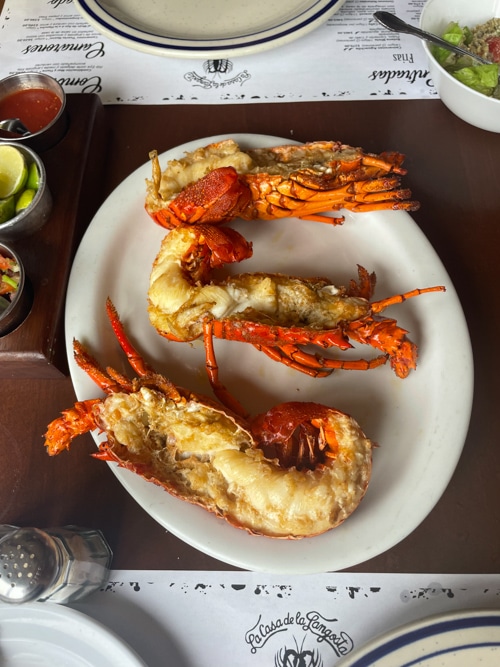 Stop in Puerto Nuevo for fresh grilled lobster for lunch