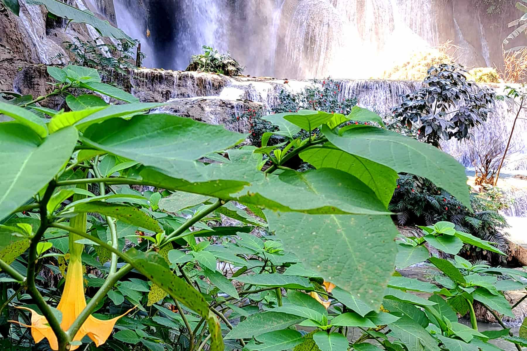 Why Luang Prabang Is One of Southeast Asia’s Most Captivating Towns