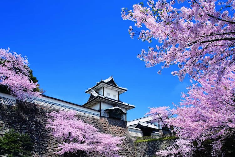 Kanazawa Castle creates a focal point for the city of Kanazawa. Photo courtesy of Ishikawa Prefecture.