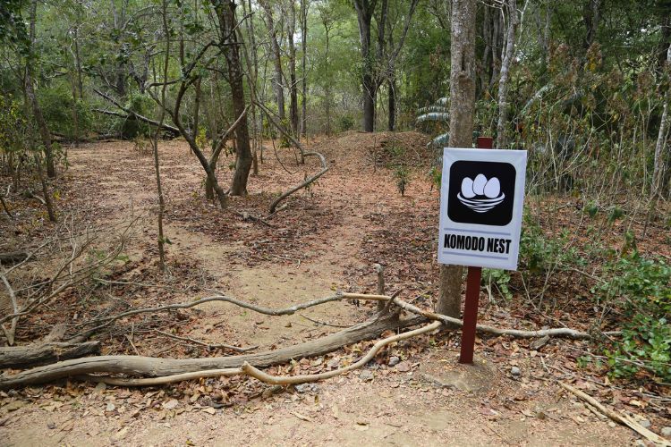 Komodo nest sign. Photo by Canva