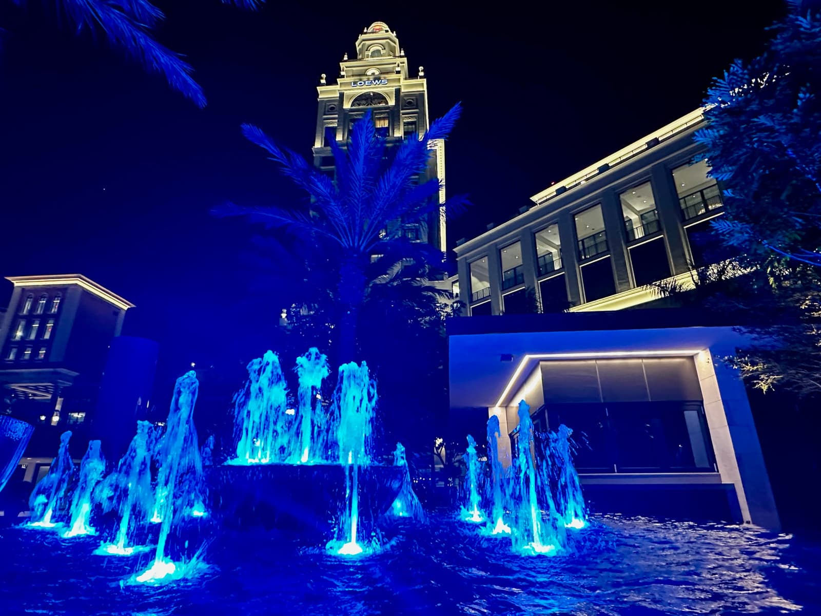 Loews grounds are a hub of Coral Gables beauty