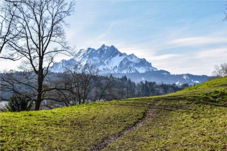 Mountain walk in Lucerne. Photo by Amy Aed.