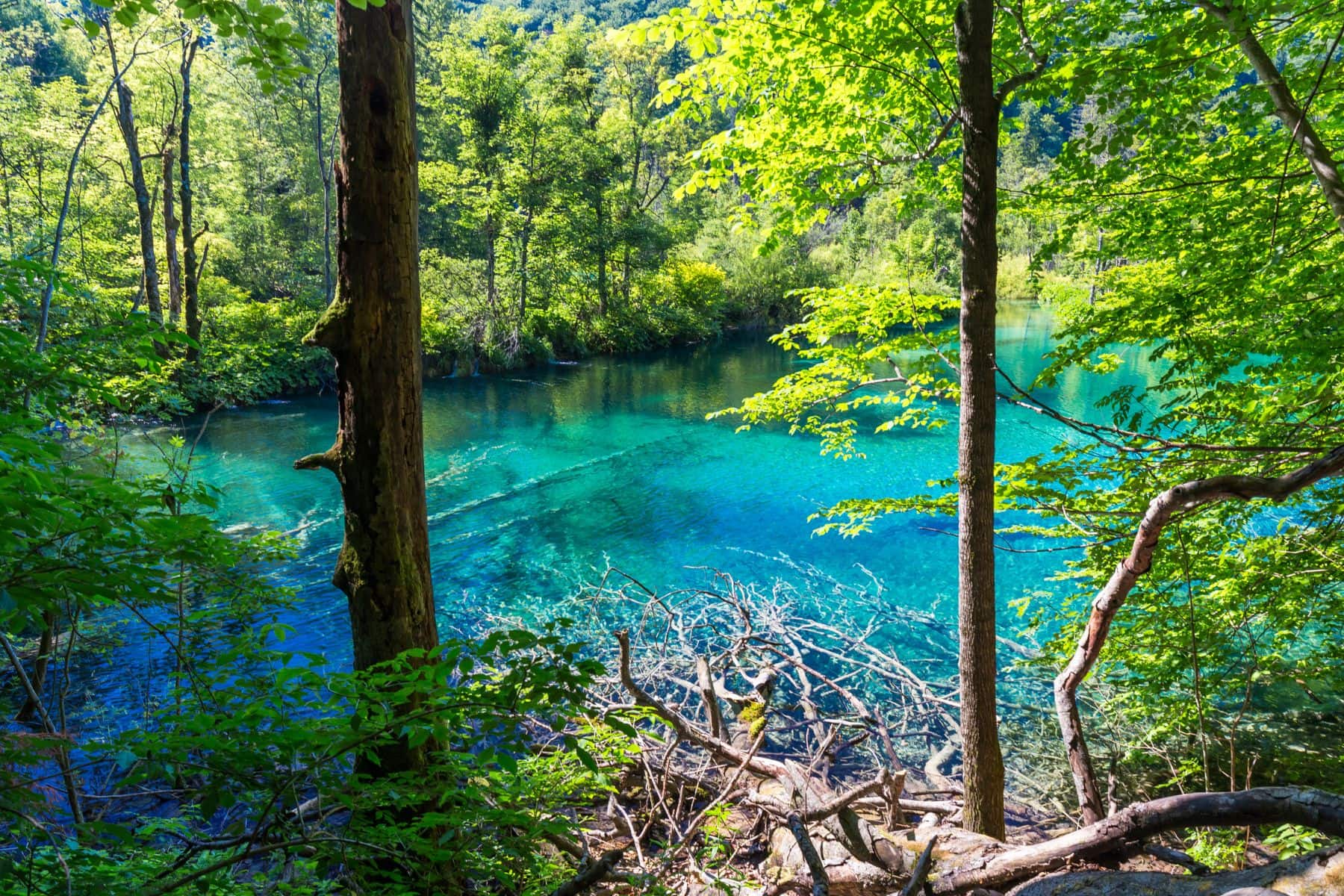 Plitvice Lakes National Park. Photo by Canva