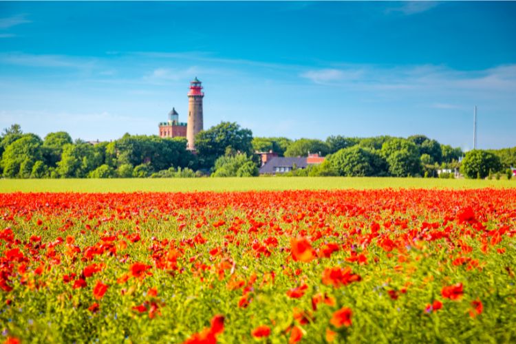 Rügen, Germany. Photo by Canva