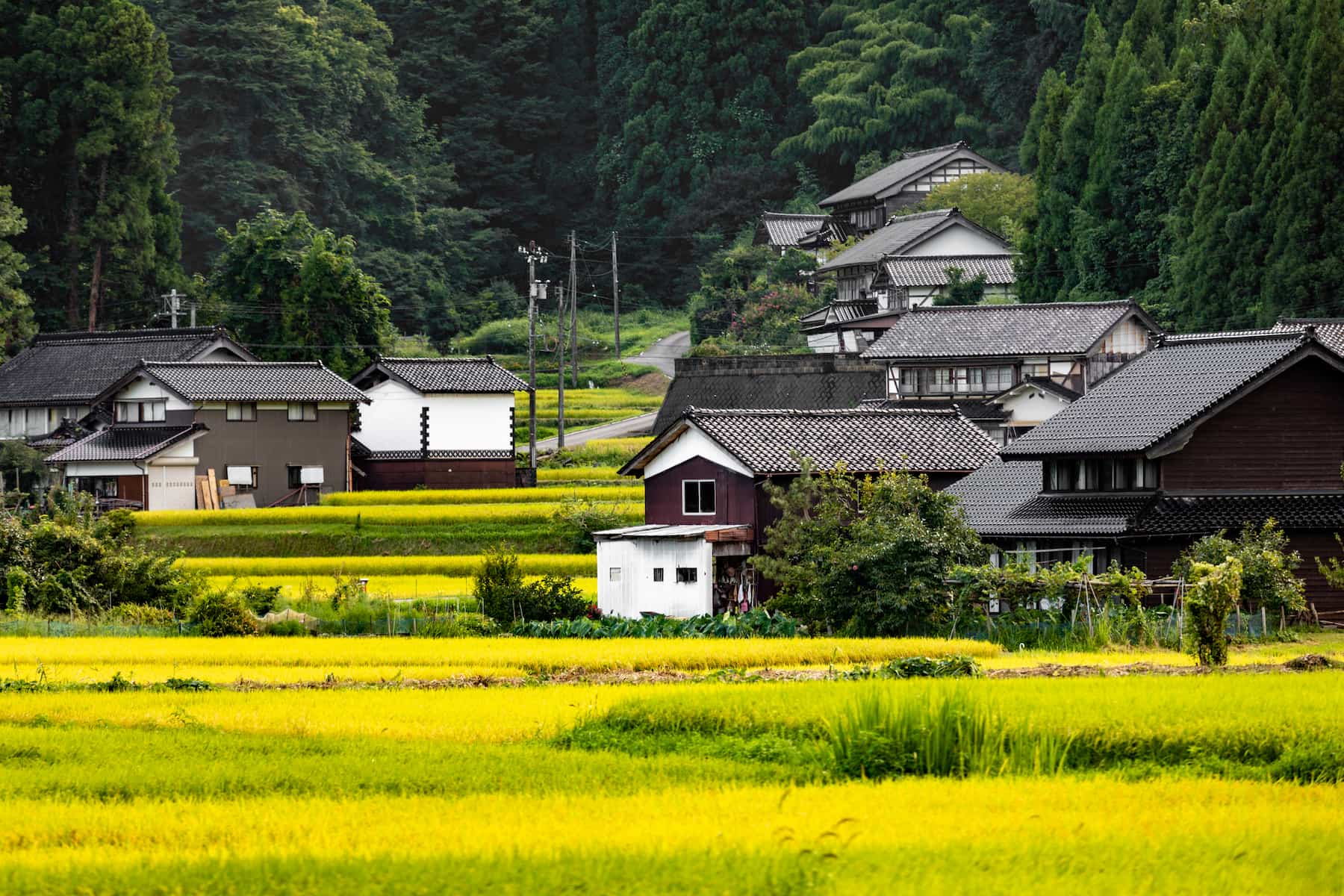 Traditional farmhouses dot the countryside throughout the Ishikawa Prefecture. Photo courtesy of Ishikawa Travel JP.