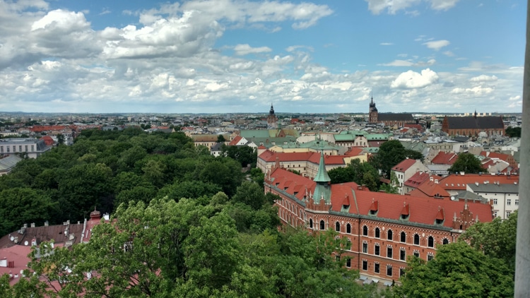 A view of Krakow from The Wawel