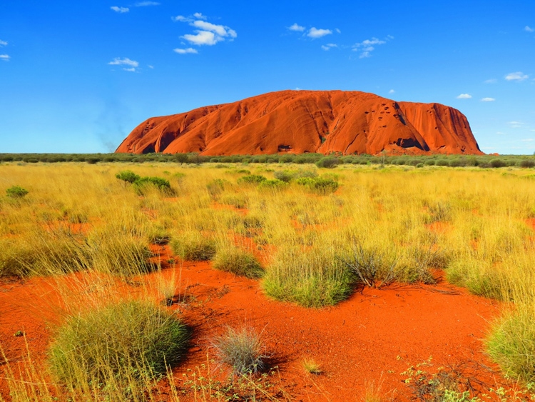 Australia vs New Zealand: Ayers Rock Australia