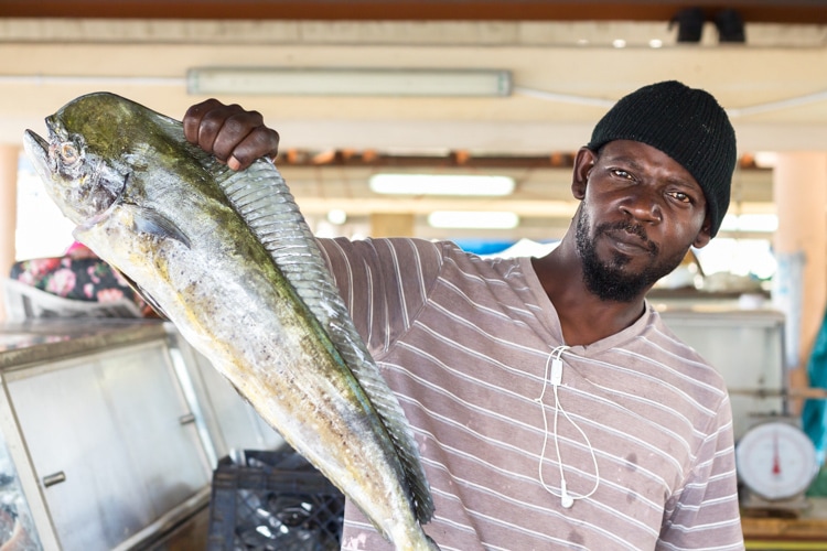 Fishing is a way of life for some Bajans