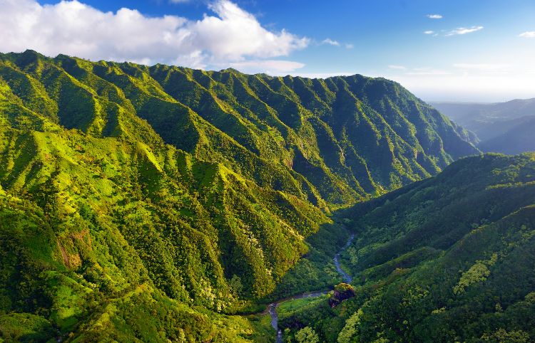 Bright green jungles of Kauai. Photo by Canva