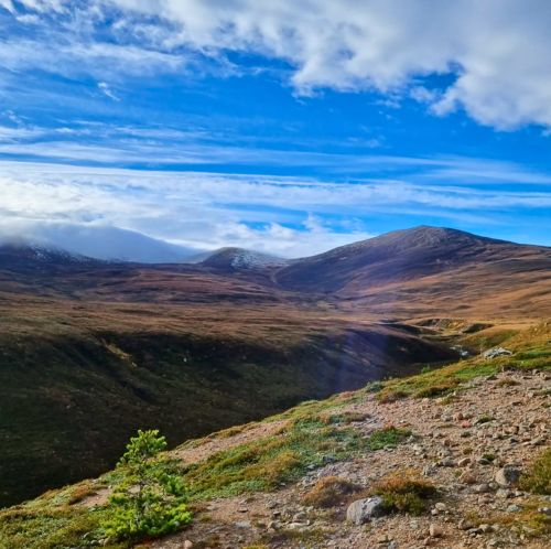 Early morning view of the Cairngorms. Photo by Lucy Arundell