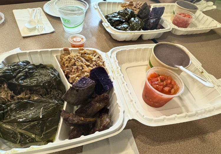 Hawaiian plate lunch