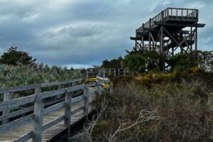 Lookout at Jonathan Dickinson State Park. Photo by R.C. Staab