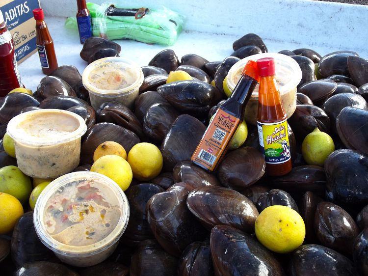 Loreto is famed for its "chocolate clams," here sold at the Lopez Mateos pier to folks embarking on gray whale watching tours. These clams are only found in this area and are beloved among clam connoisseurs. Photo by Irene Middleman Thomas