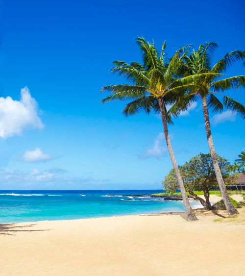 Pristine beaches in Kauai. Photo by Canva