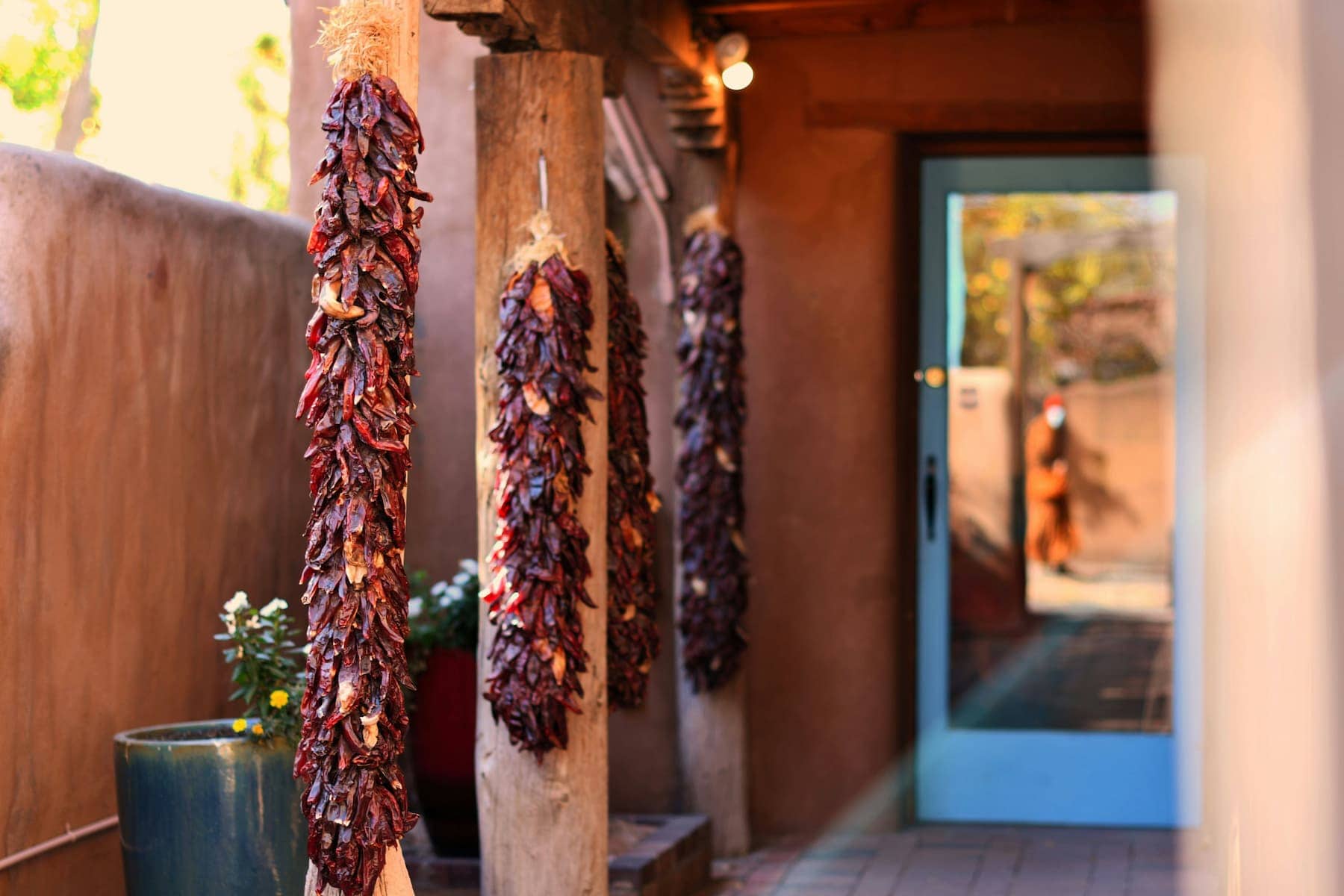 Drying chilis. Photo by Sean Quillen, Unsplash