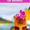 Hawaii Food