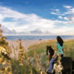 Outer Banks Cape Hatteras Horseback riding