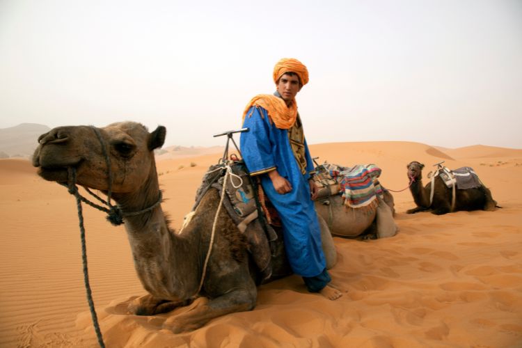 Sahara desert camel ride. Photo by Canva