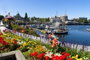 Victoria BC seamlessly weaves together old-world elegance and Pacific Northwest authenticity. Image by pr2is from Getty Images via Canva