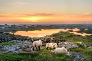 Connemara. Photo by Canva