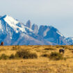 Torres del Paine NP