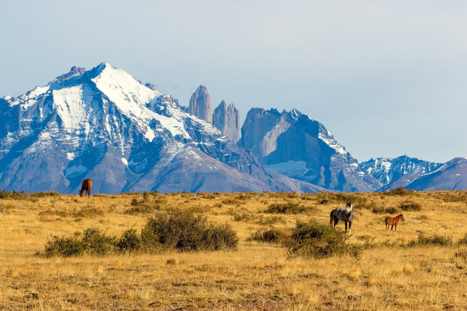 The iconic granite towers of Torres del Paine rise above the Patagonian steppe - your gateway to Chile's premier wilderness destination. Photo by Mircea Muntean via Unsplash