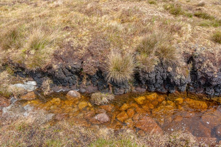 Irish bog in Connemara. Photo by Canva