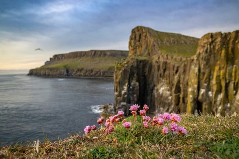 Neist Point, Isle of Skye, Scotland. Photo by Piotr Musioł, Unsplash