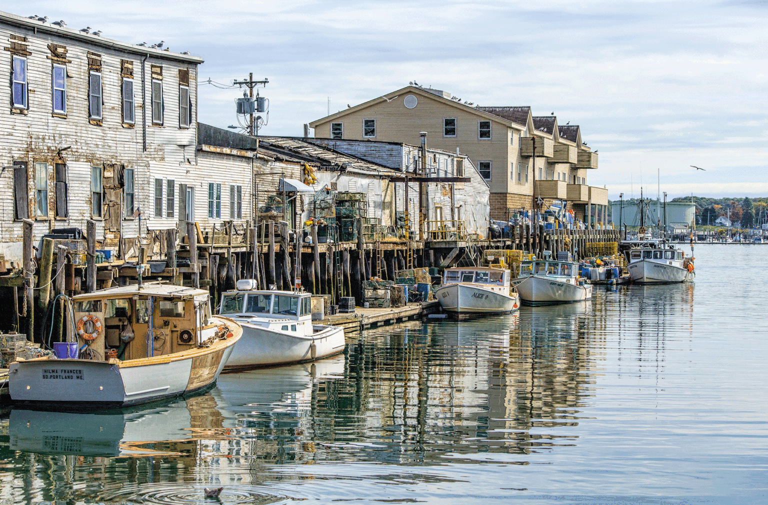 Boats along the pier in Portland, Maine. Photo by iStock