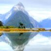 At Milford Sound foreshore. Photo by Ayan Adak