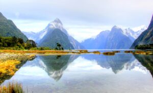 At Milford Sound foreshore. Photo by Ayan Adak