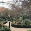 Crossrail Place Roof Garden, Pinterest. Photo by Laura Olcelli
