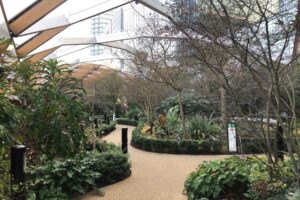 Crossrail Place Roof Garden. Photo by Laura Olcelli