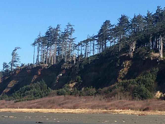 Roosevelt Beach, Olympic Coast Natural Beach Sanctuary.