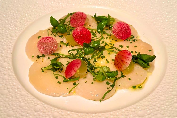 Scallops at Le Bernardin. Photo by Meryl Pearlstein