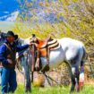 Cody Yellowstone Cowboy and his horse