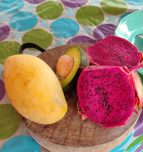 Local fruits for a good and healthy breakfast. Photo by David Brnelich