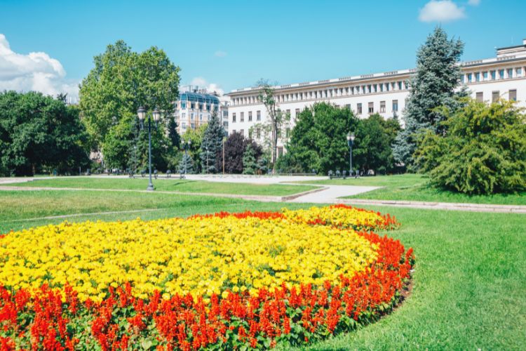 Sofia's City Garden