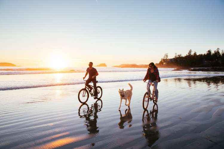 Two people ride bikes along the sand in Tofino. A dog runs along with them.