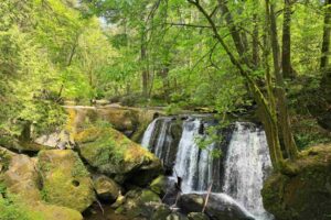 Whatcom Falls Park. Photo by Debbie Stone
