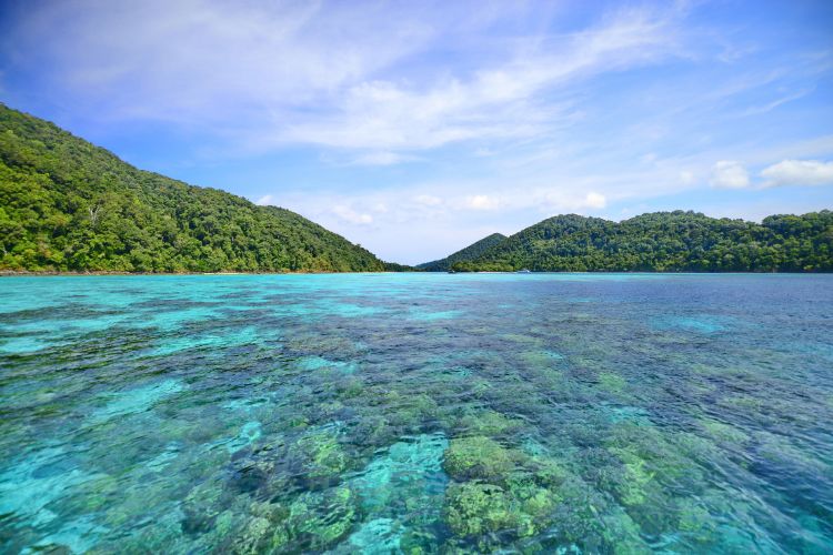 Coral reefs in the Andamans. Photo by Canva