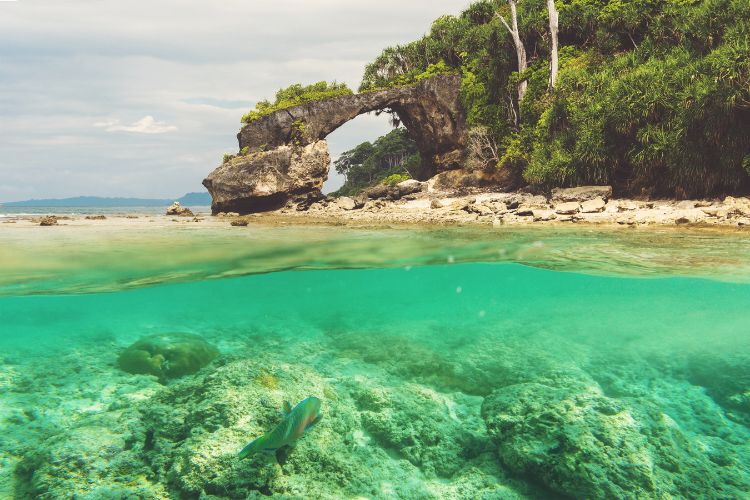 Neil Island. Photo by Canva