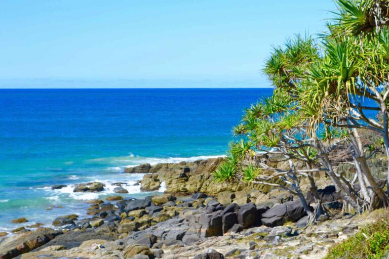 Noosa National Park, Australia. Photo by Lukas Spirig, Unsplash