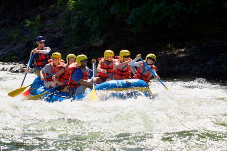 whitewater rafters